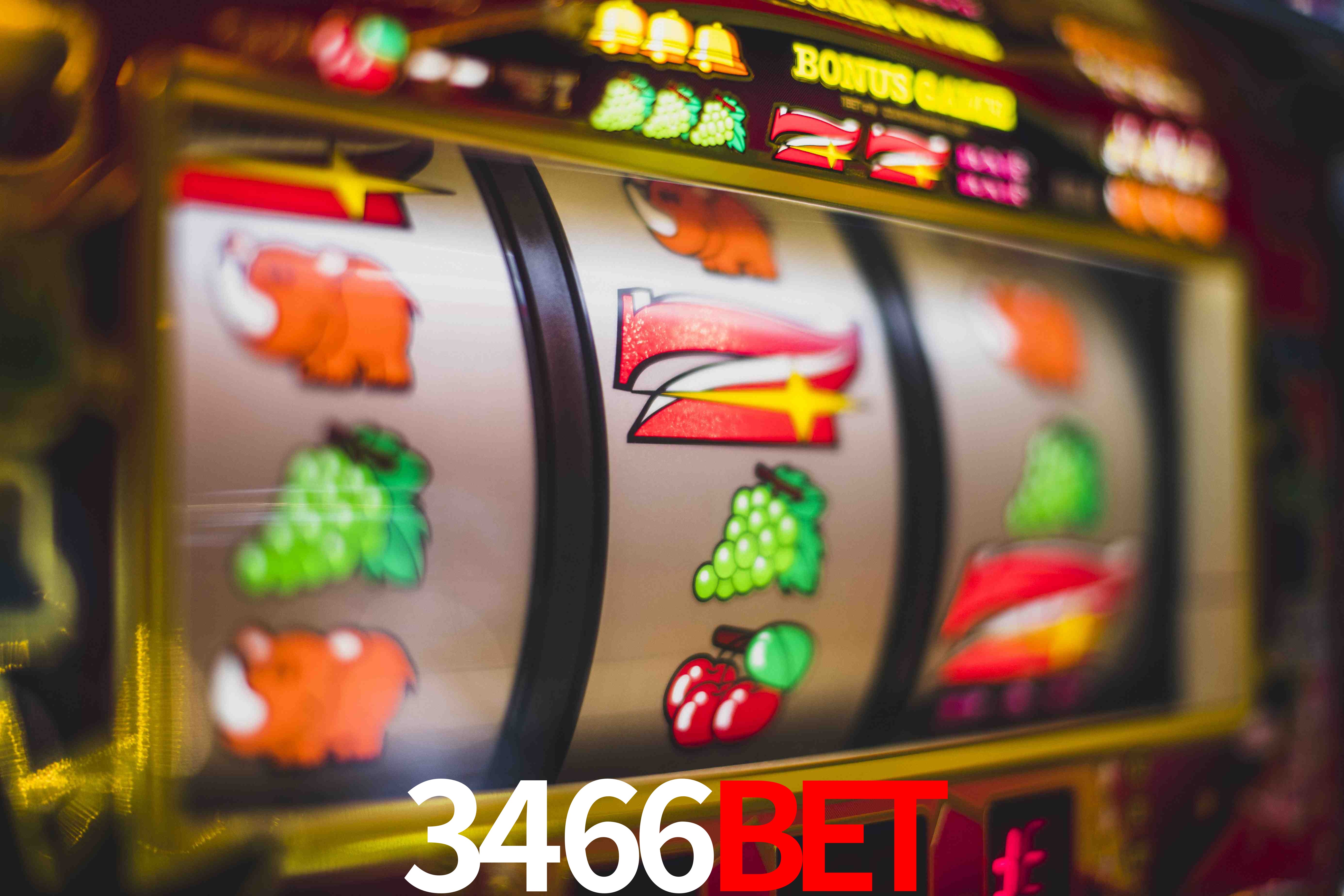 Sports Statistics 3466BET